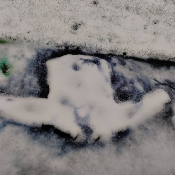 Meet your Posher - Picture 11 of 14